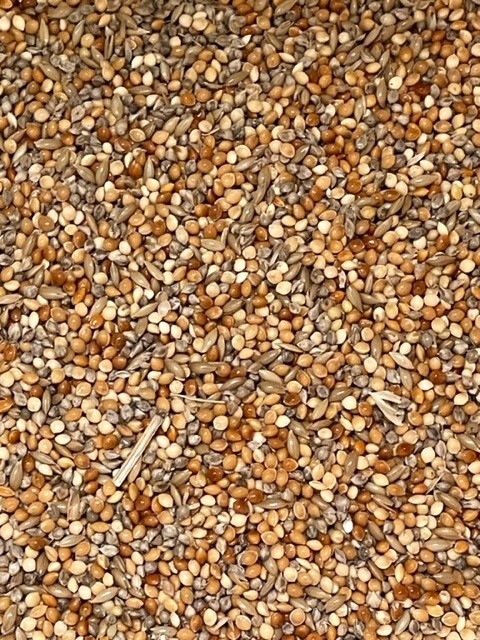 2kg Finch Seed Mix 2kg Finch Seed Mix